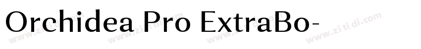 Orchidea Pro ExtraBo字体转换